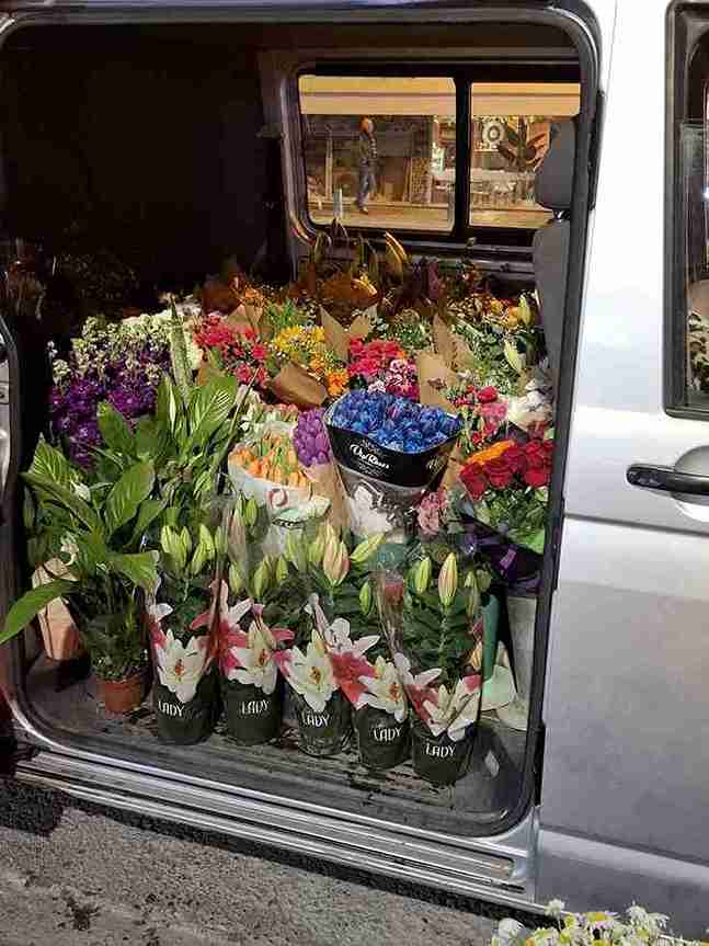 Blog image for Why Sensitive Goods Need Freezer Transport - Dubai Chiller Transport article about reefer truck